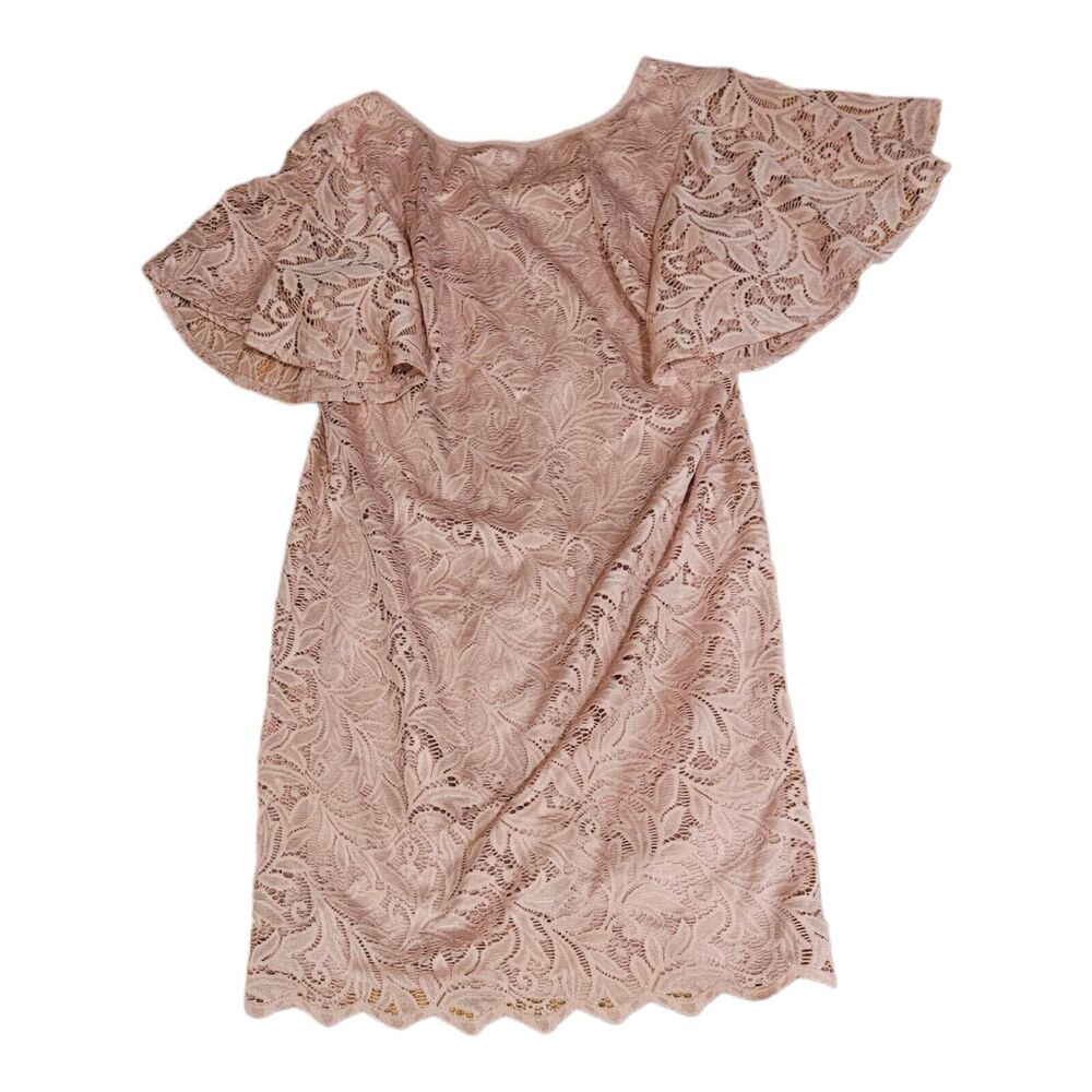 AGB Size 8 Pink Short Sleeve Lace Mini Dress